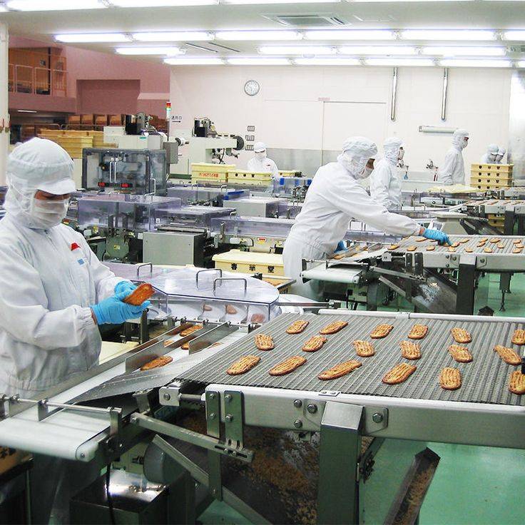  食品工廠法規全攻略  食品工廠消防、排水、污水處理法規與工程成本全解析 食品工廠申請流程、建築法規、建照、使用執照、工廠登記一次看懂｜周嘉源建築師事務所 